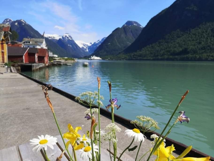 Sogndal Ski- And Mountain Cabin Экстерьер фото