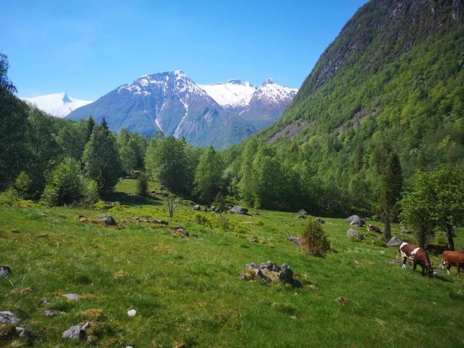 Sogndal Ski- And Mountain Cabin Экстерьер фото